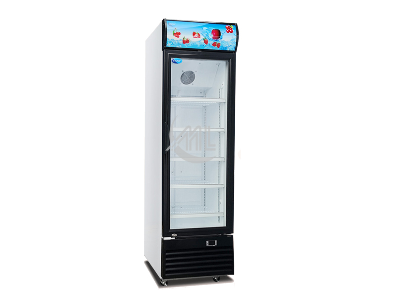 SNOW - 1 Glass Door Chiller 