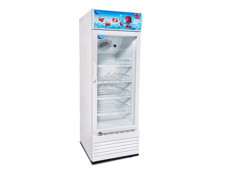 SNOW - 1 Glass Door Chiller 