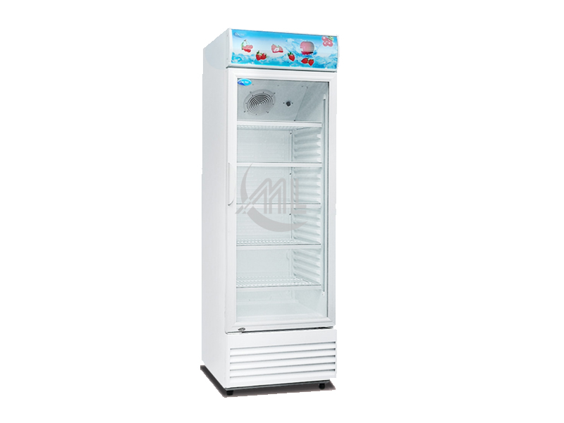 SNOW - 1 Glass Door Chiller 